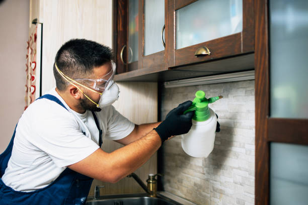 Best Local Pest Control Services  in Delhi, LA