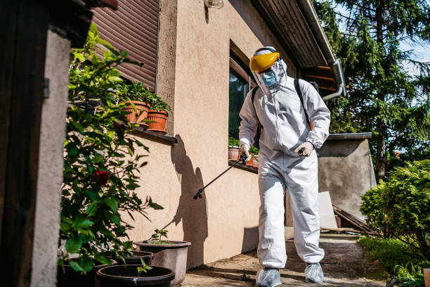 Best Termite Control Services  in Delhi, LA
