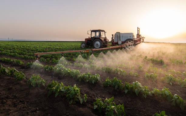Best Commercial Pest Control Services  in Delhi, LA