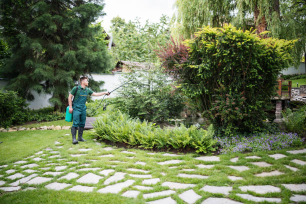 Best Pest Inspection Near Me  in Delhi, LA