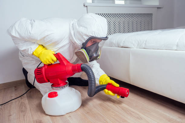 Wasp Removal Services in Delhi, LA