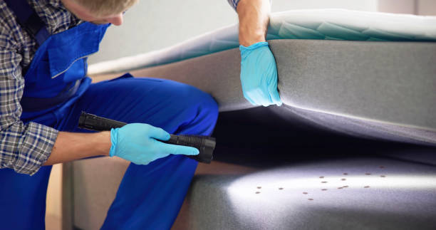 Best Affordable Pest Control Services  in Delhi, LA