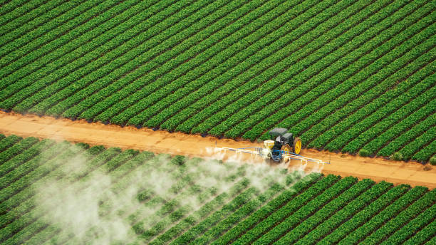 Best Pest Removal Services  in Delhi, LA